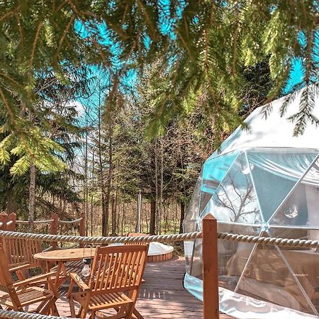 弗勒希察 Medve Dome - Luxury Camping In The Middle Of Nature酒店 外观 照片