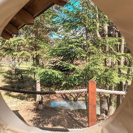 弗勒希察 Medve Dome - Luxury Camping In The Middle Of Nature酒店 外观 照片