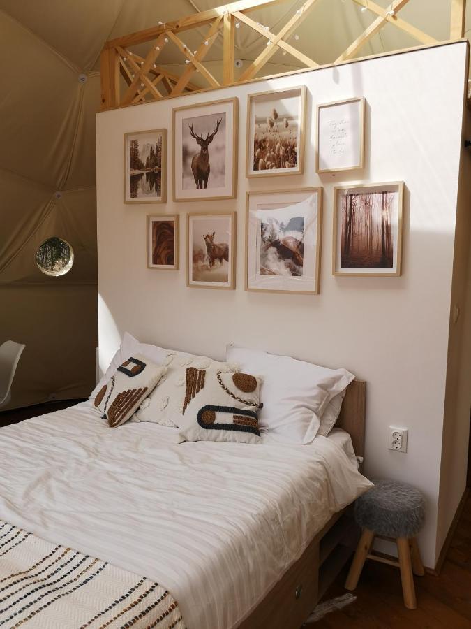 弗勒希察 Medve Dome - Luxury Camping In The Middle Of Nature酒店 外观 照片