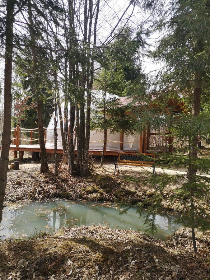 弗勒希察 Medve Dome - Luxury Camping In The Middle Of Nature酒店 外观 照片