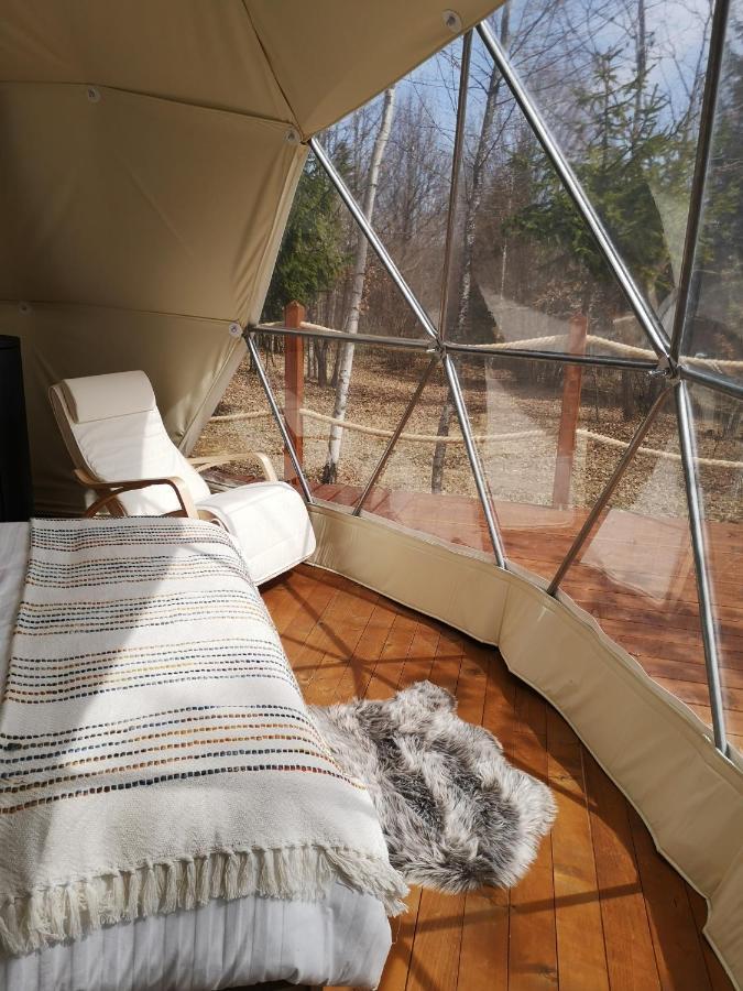 弗勒希察 Medve Dome - Luxury Camping In The Middle Of Nature酒店 外观 照片