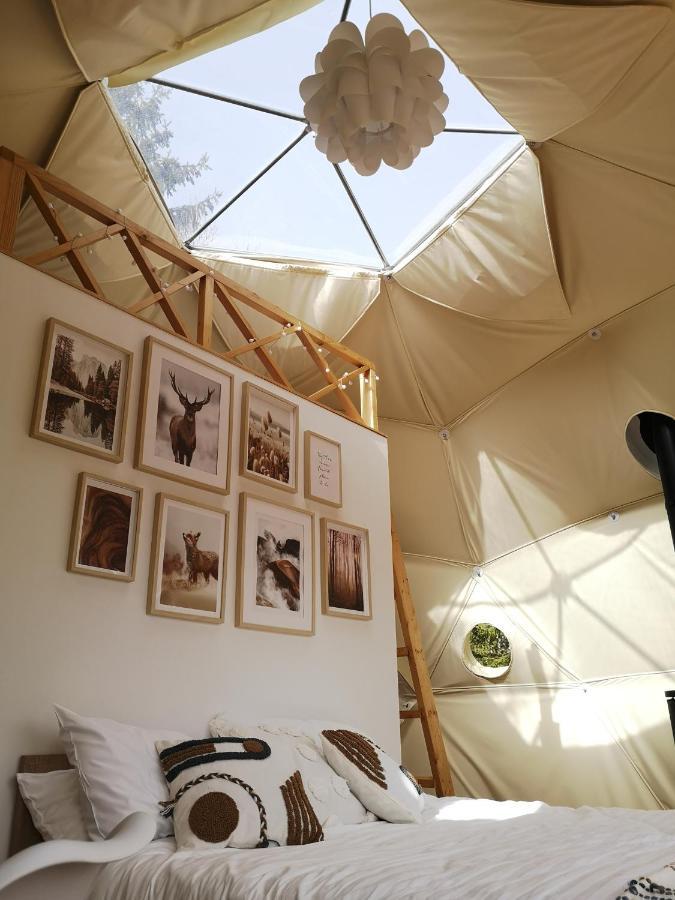 弗勒希察 Medve Dome - Luxury Camping In The Middle Of Nature酒店 外观 照片