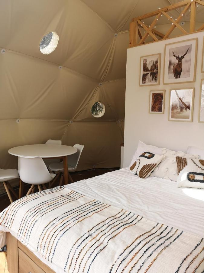 弗勒希察 Medve Dome - Luxury Camping In The Middle Of Nature酒店 外观 照片