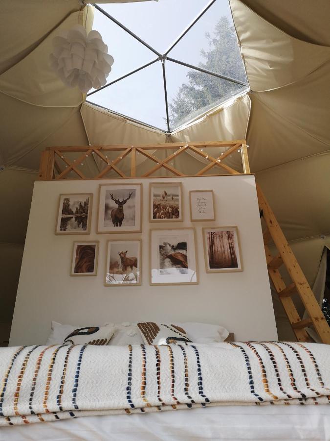 弗勒希察 Medve Dome - Luxury Camping In The Middle Of Nature酒店 外观 照片