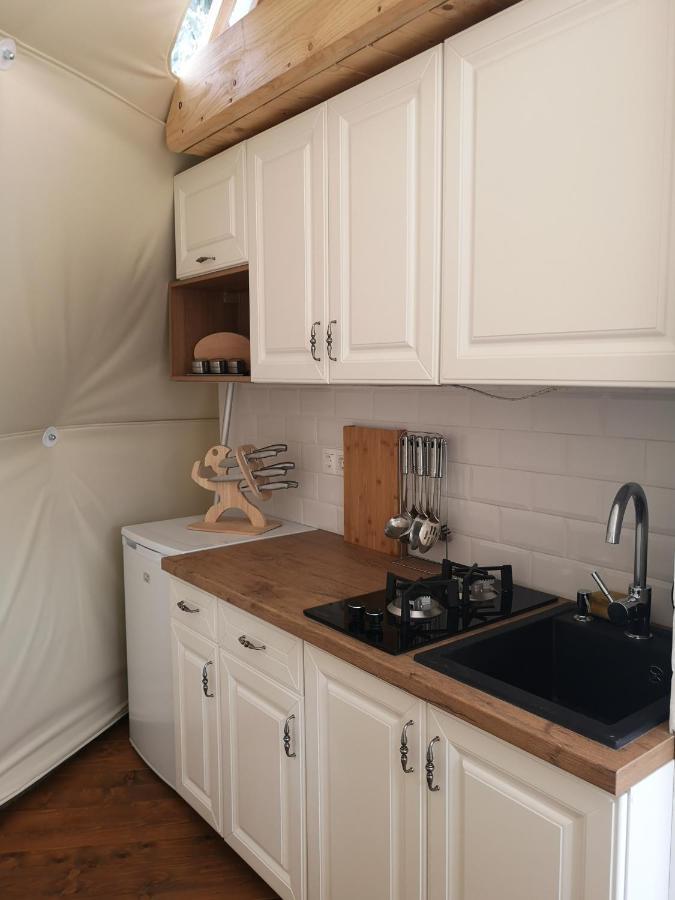 弗勒希察 Medve Dome - Luxury Camping In The Middle Of Nature酒店 外观 照片