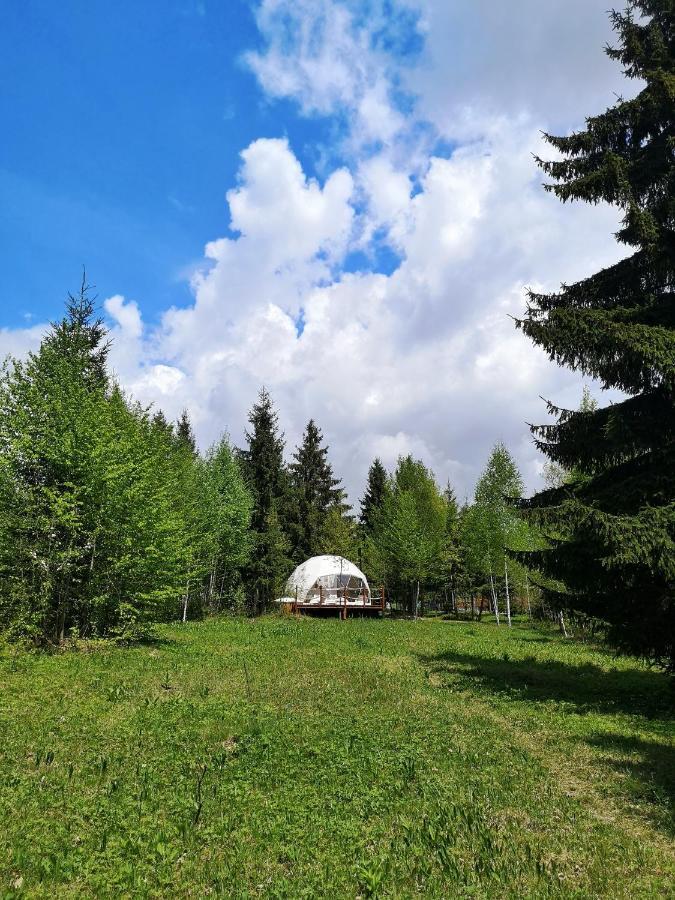 弗勒希察 Medve Dome - Luxury Camping In The Middle Of Nature酒店 外观 照片