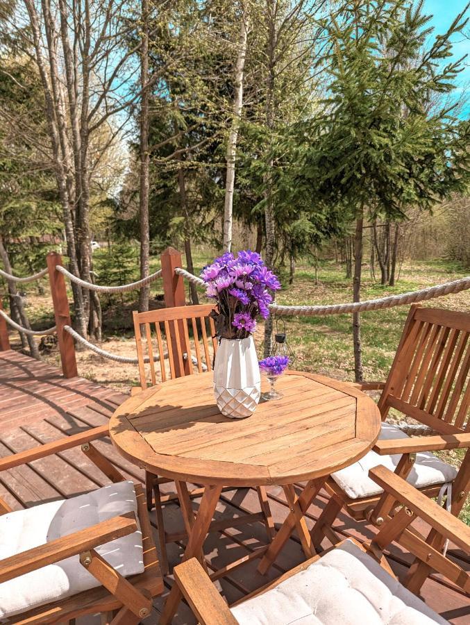 弗勒希察 Medve Dome - Luxury Camping In The Middle Of Nature酒店 外观 照片
