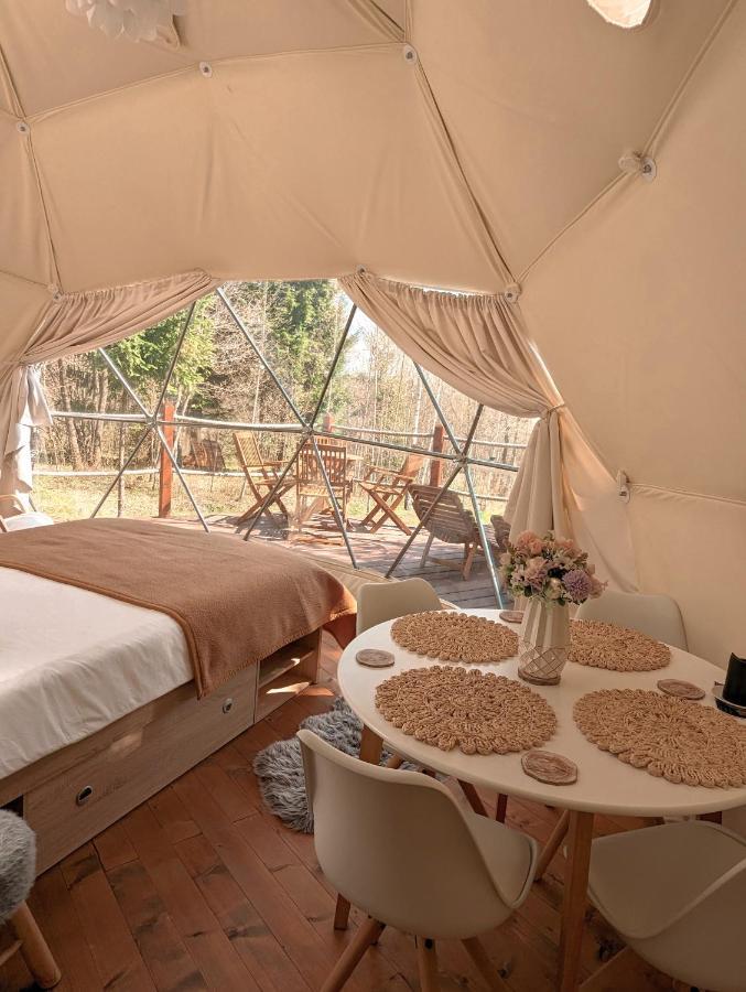 弗勒希察 Medve Dome - Luxury Camping In The Middle Of Nature酒店 外观 照片