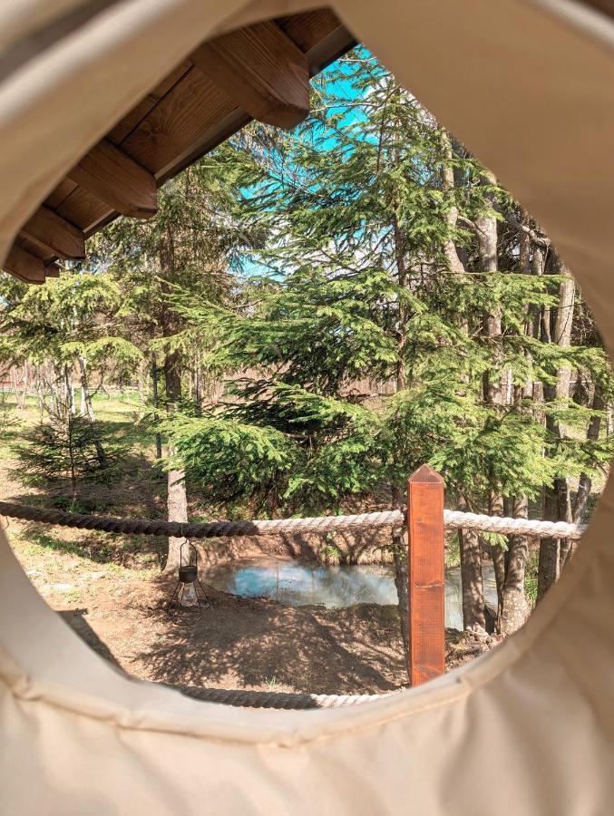 弗勒希察 Medve Dome - Luxury Camping In The Middle Of Nature酒店 外观 照片